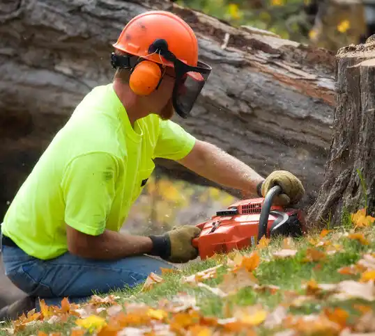 tree services North Muskegon